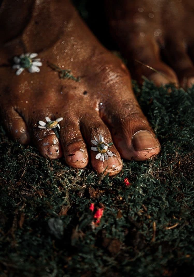 Bare feet on mossy ground with daisies tucked between the toes
